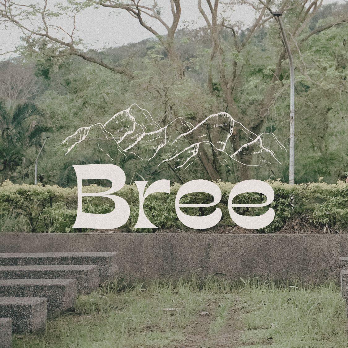 Breē: Dreamy Soundscapes, Midnight Drives, and Songs That Feel Like Shelter